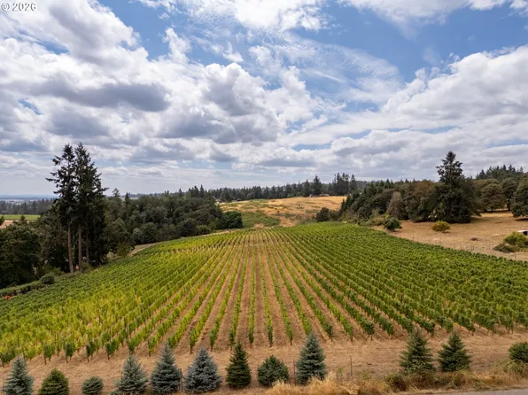 10420 SE Hillview Dr, Amity, OR 97101
