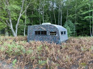 Healy Lake Rd, Bear Lake, MI 49614