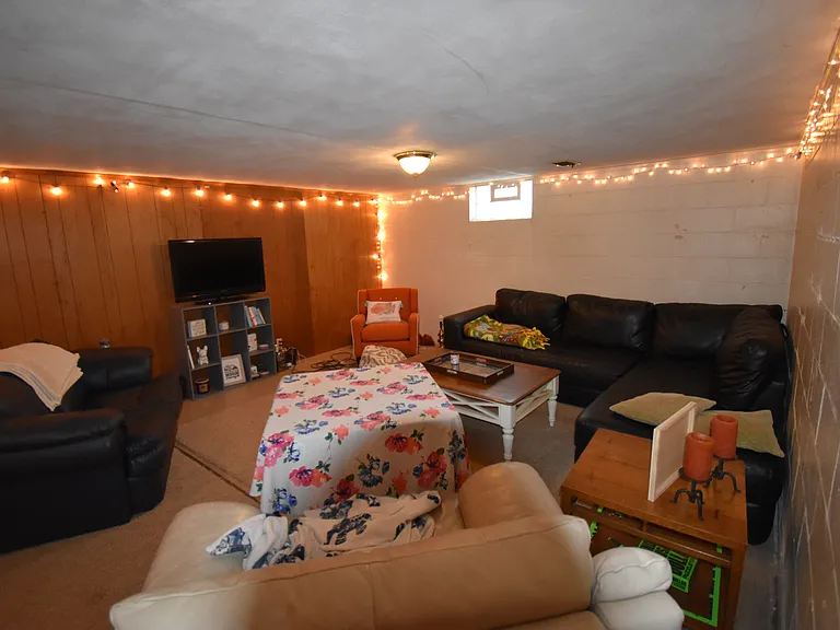 Lower level rec room