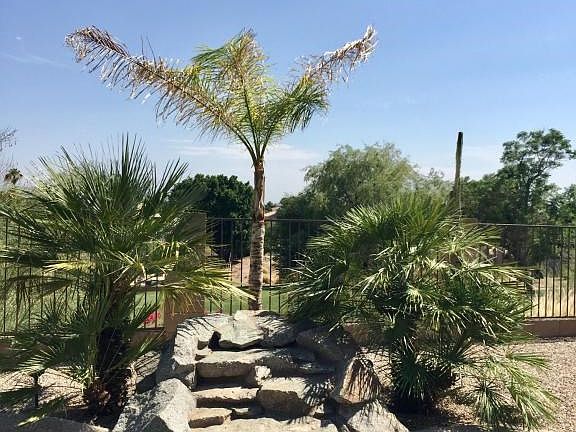 4978682B-79C3-4E67-814A-C48146318AC7