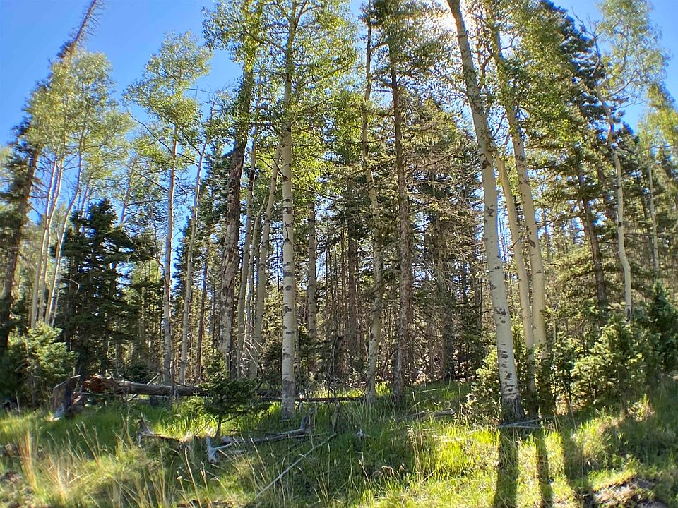 LOT 28 Shields Ave, Angel Fire, NM 87710 MLS 109010 Zillow