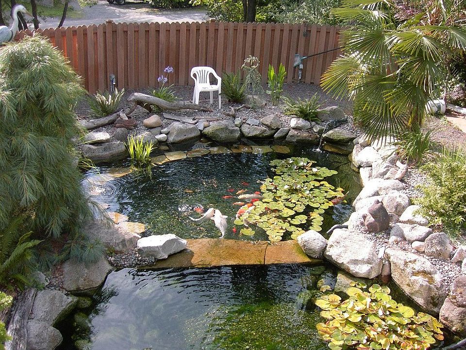 pond