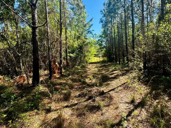 Vac Sw Federal Rd #1, Lamont, FL 32336