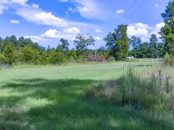 0 Mulberry Rd, Saint George, SC 29477
