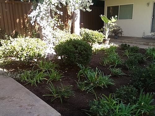 3rd image of 220 S Lucia Ave APT 07