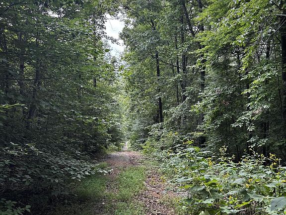 4th image of 0 Orme Mountain Rd