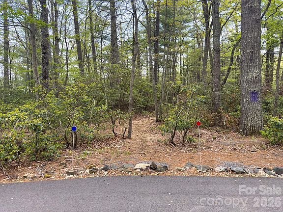 4th image of Pine Point Rd