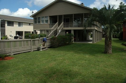 palm trees and grass yard