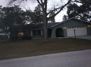 11379 Lagorce Ave, Spring Hill, FL 34609