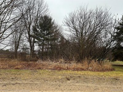 0 N Cedar Rd, Handy Twp, MI, 48836