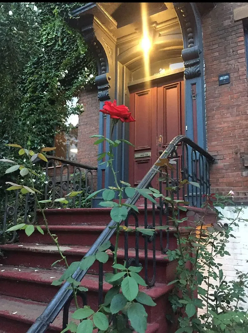 17 Court — Photo 1