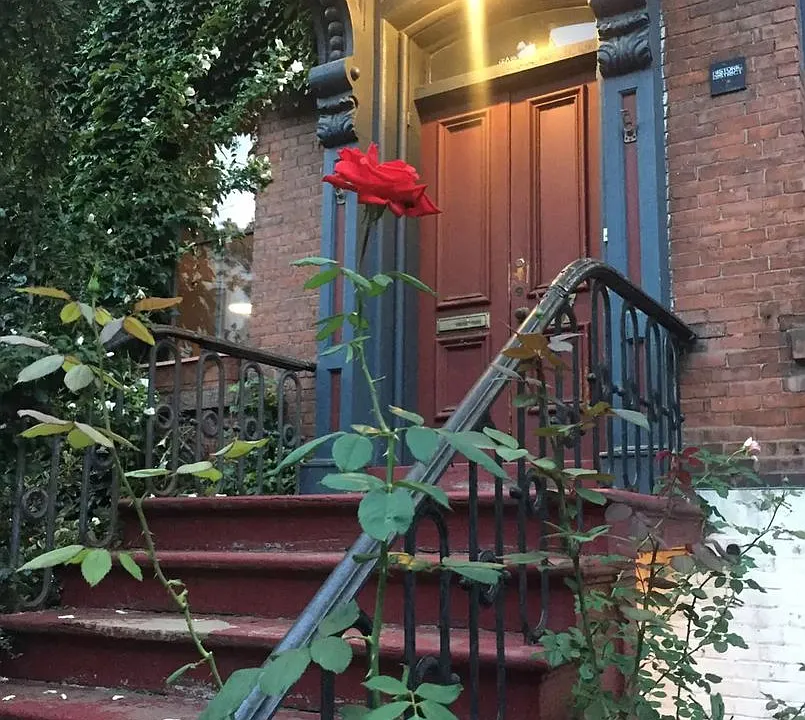 17 Court St #6511