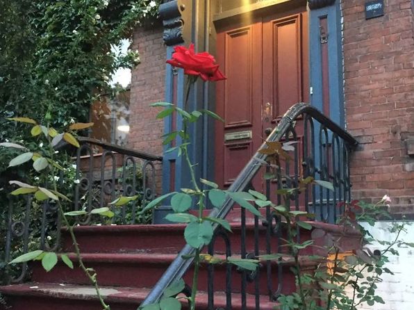 17 Court St #6511