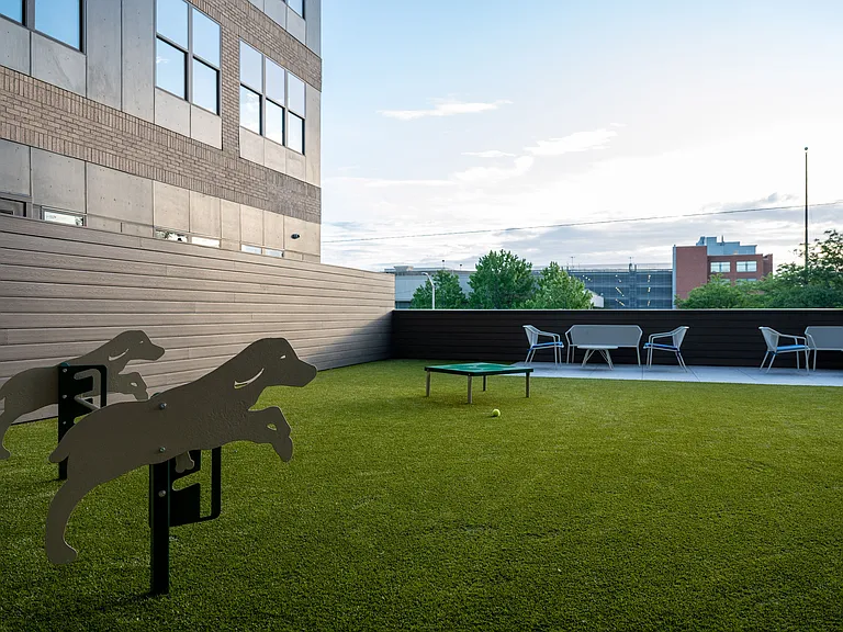 Courtyard Dog Park