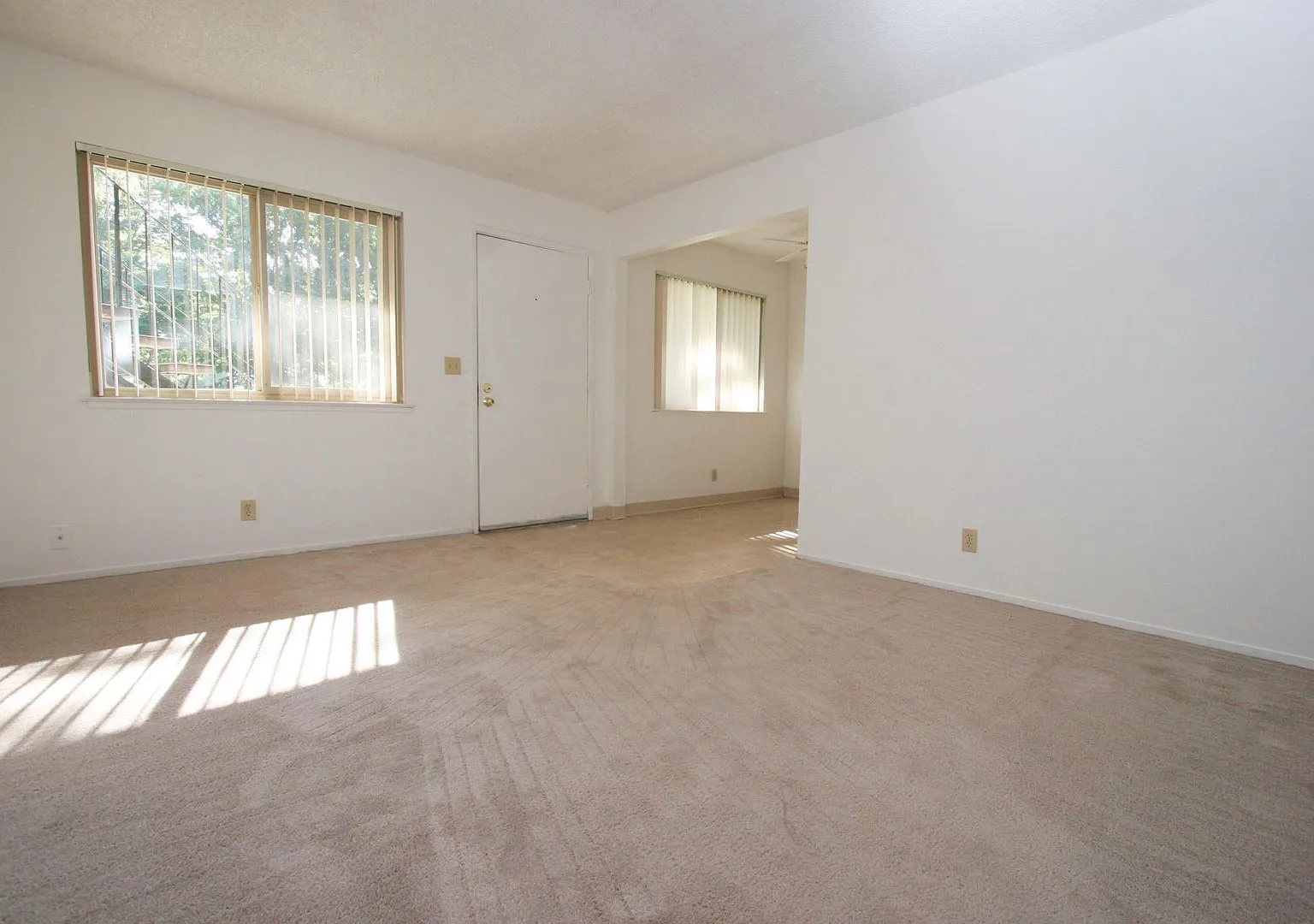 Cascade Davis LLC — Photo 4