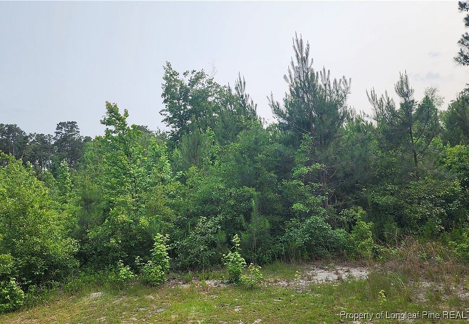 2nd image of 398 Dogwood Trl