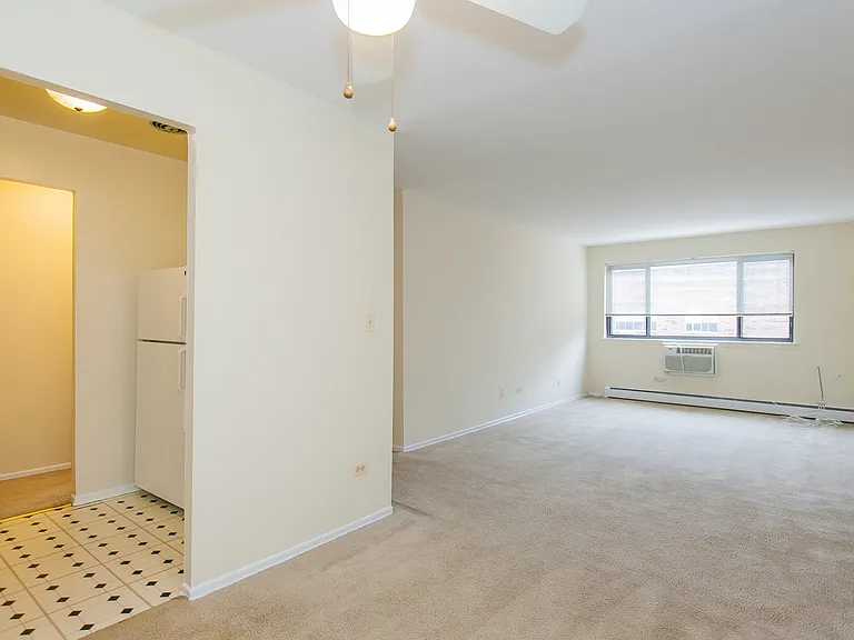 Lincoln Park Living! — Photo 46