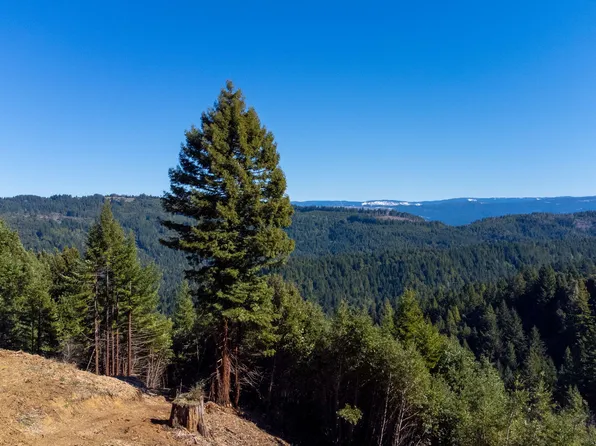 6800 Greenwood Heights Dr, Kneeland, CA 95549