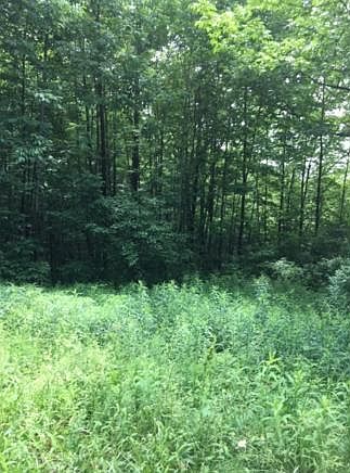 2nd image of 98 Ridge Rd