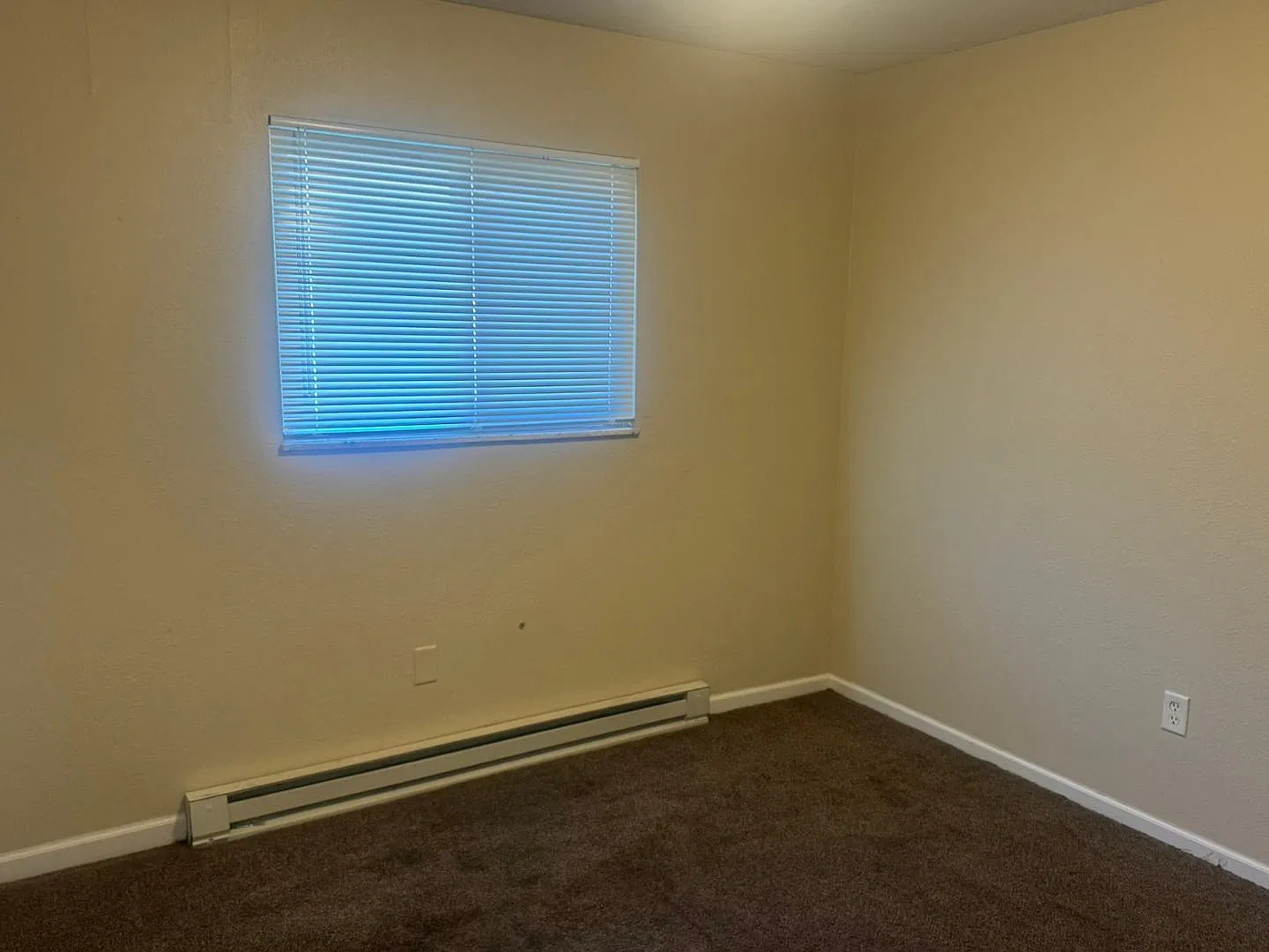 2 bed, 1.0 bath, 1250 sqft, $820 — Photo 4