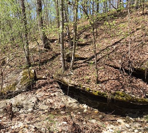 5th image of 24 Woodland Cir