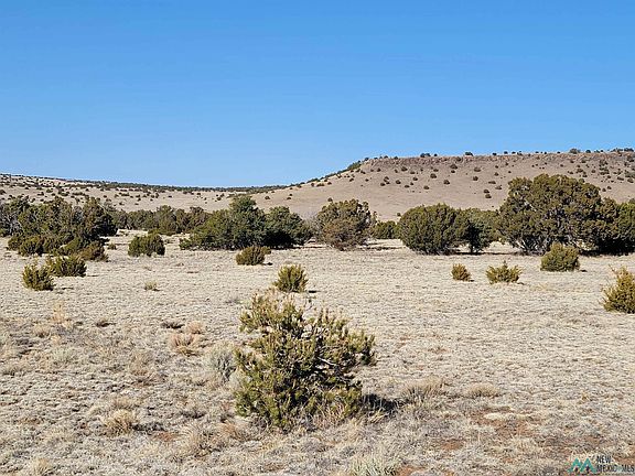 5th image of Old Ranch Rd