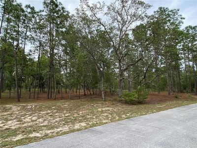NW Water Oak Ave Lot 30, Dunnellon, FL, 34431