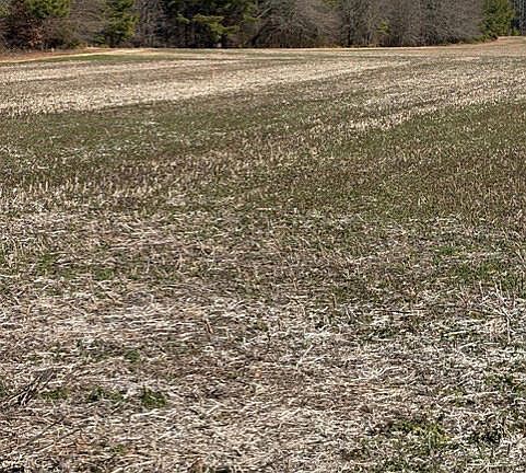 3rd image of (Undisclosed Address)