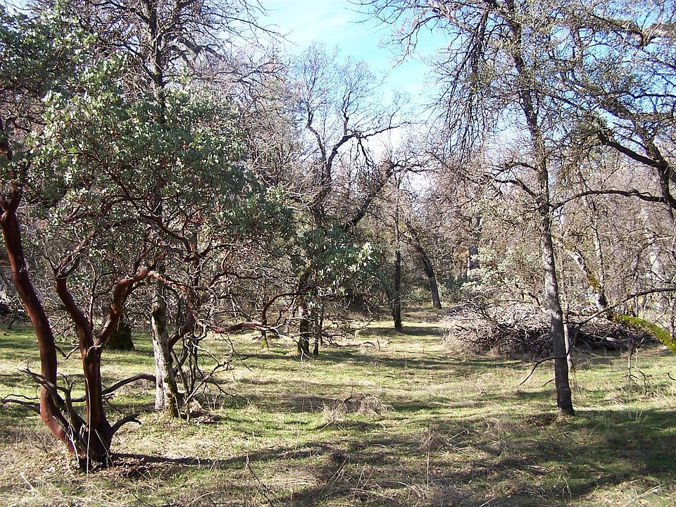 1st image of 36 Jean Rd W