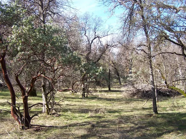 36 Jean Rd W, Oakhurst, CA 93644