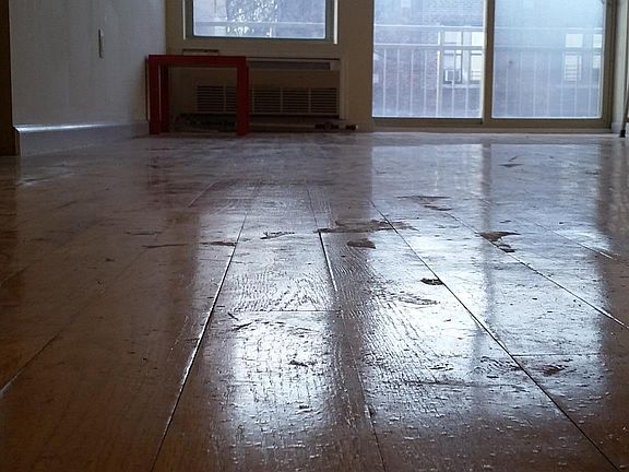 2nd image of 8265 116th St APT 404