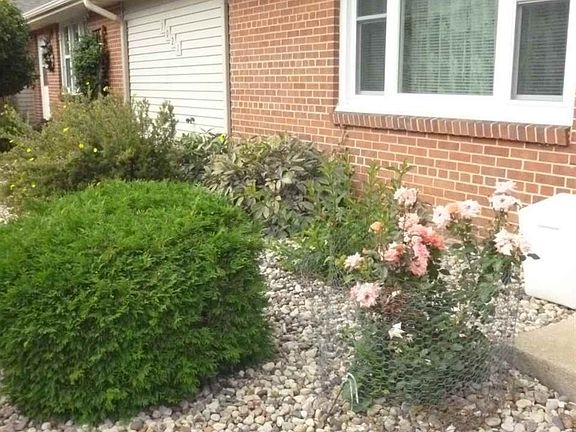 Find mature landscaping that..