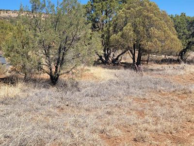 10 Mule Shoe Rd, Hanover, NM, 88041