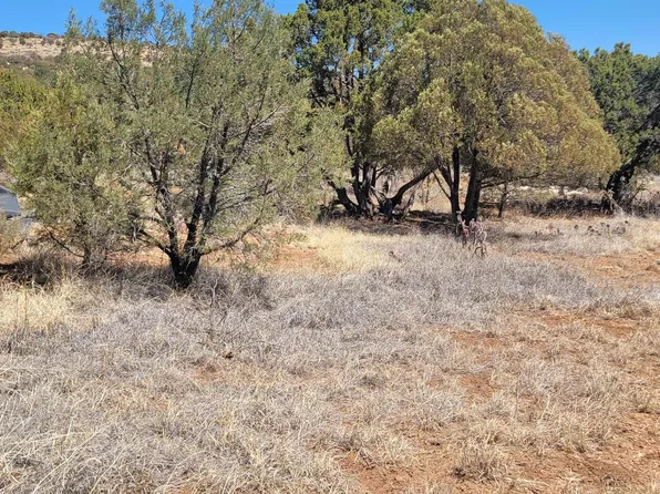 10 Mule Shoe Rd, Hanover, NM 88041