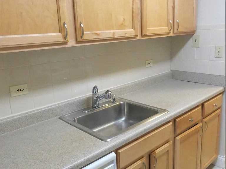 Kitchen Sink & Dishwasher