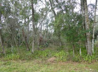 5166 S Romans Ave, Inverness, FL 34452
