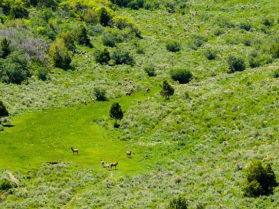 5th image of 19294 Highway 13