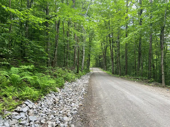 0 Hickingbotham Rd, Hinsdale, MA 01235