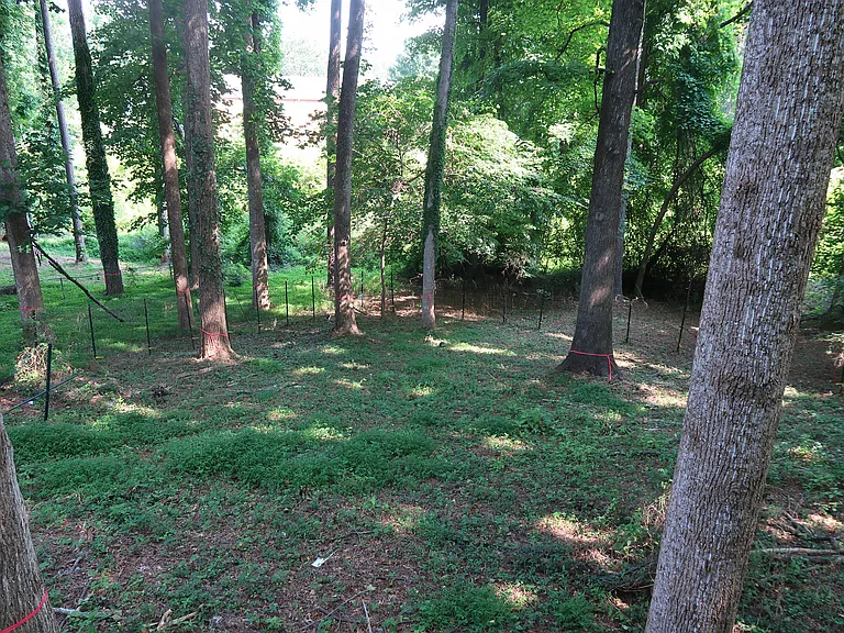 200 Stockwood Dr — Photo 8