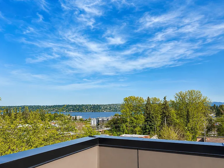 Rooftop facing lake washington