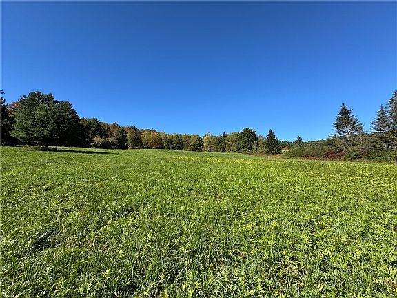 3rd image of Wilber Lake Rd Lot 26