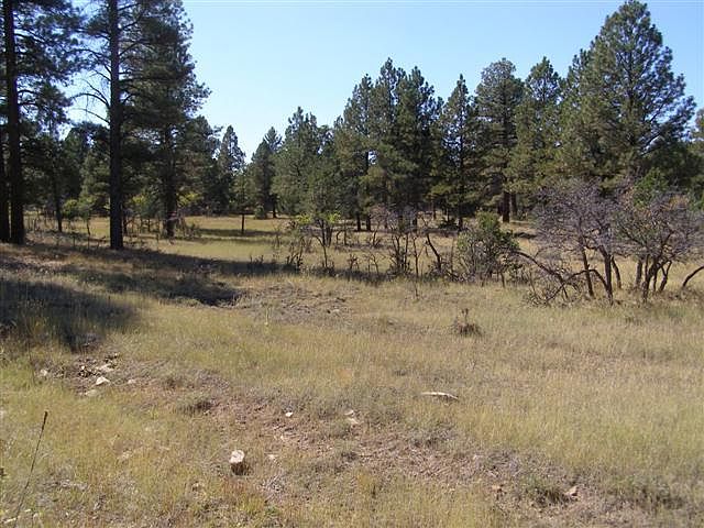 1st image of Tbd County Road 1