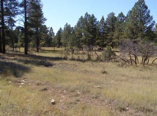 Tbd County Road 1, Ridgway, CO 81432