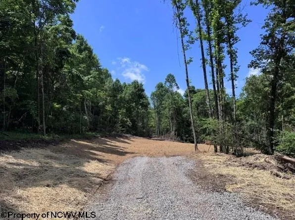 River Rd, Belington, WV 26250