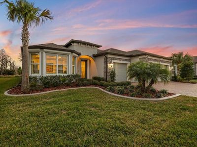 5356 Blue Crush Bnd, Land O Lakes, FL, 34638
