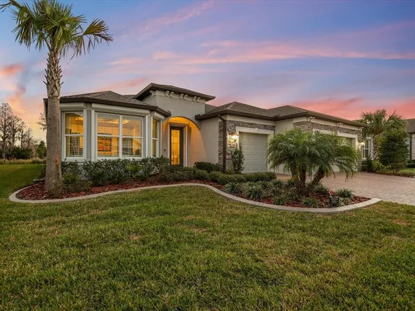 5356 Blue Crush Bnd, Land O Lakes, FL 34638