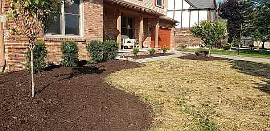 New landscaping front