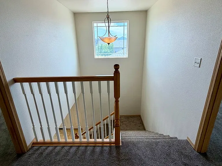 4003 Messara Ln — Photo 14
