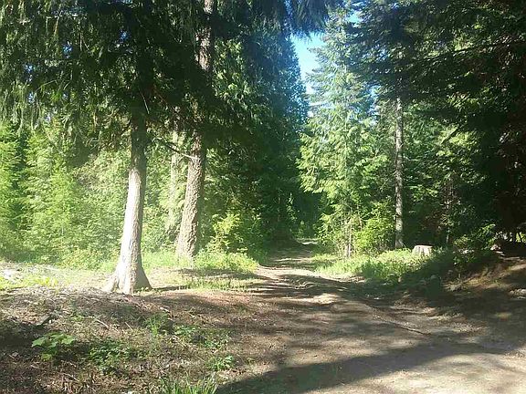 3rd image of 1348 Sunrise Hill Ln