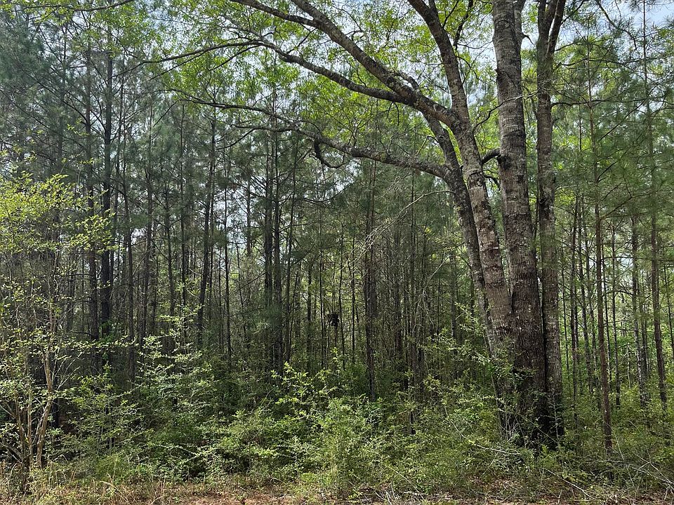 1st image of 21 Range Line Rd